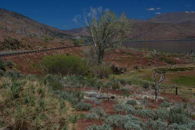 near Lake Topaz, in the Antelope Valley